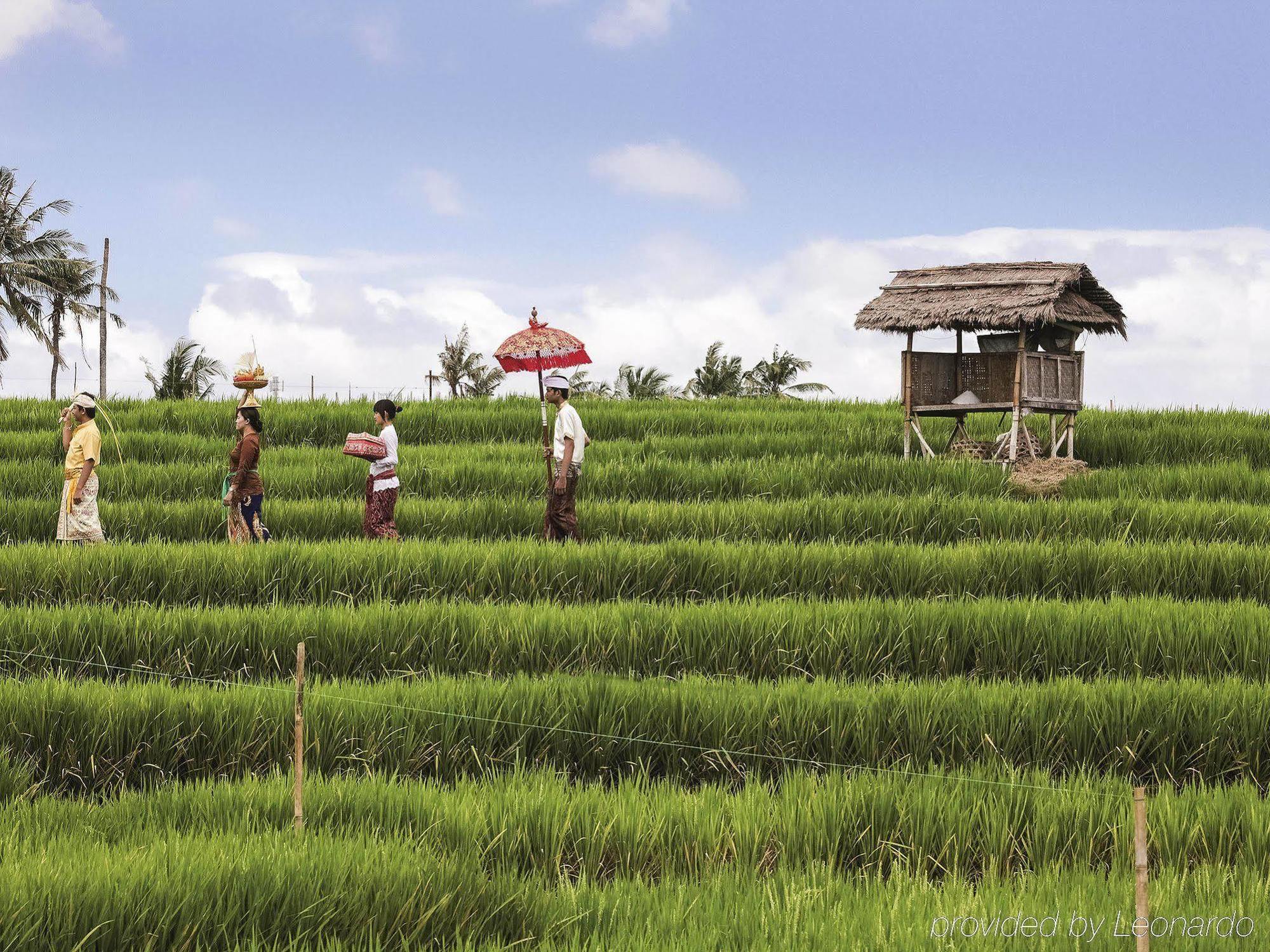Kamaniiya Petitenget Seminyak Exterior foto
